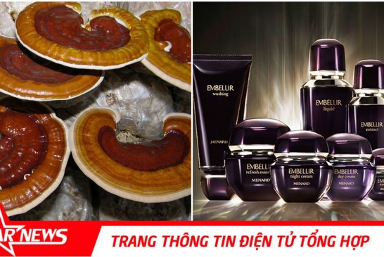 Huyền thoại linh chi – bí ẩn sắc đẹp nơi lầu son gác tía