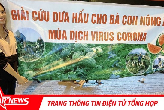 Á hậu Kim Duyên xuống đường “giải cứu” dưa hấu giúp bà con nông dân quê nhà