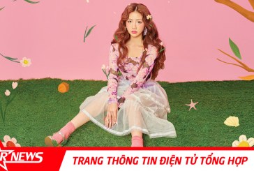 MV ‘Yêu Thì Yêu Không Yêu Thì Yêu’ của AMEE trở thành nguồn cảm hứng ảnh chế của hội học trò ‘bá đạo’