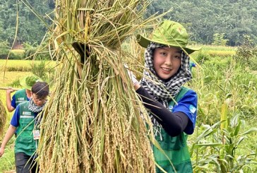 Hoa hậu Bảo Ngọc tham gia đội tình nguyện, hỗ trợ bà con Tuyên Quang